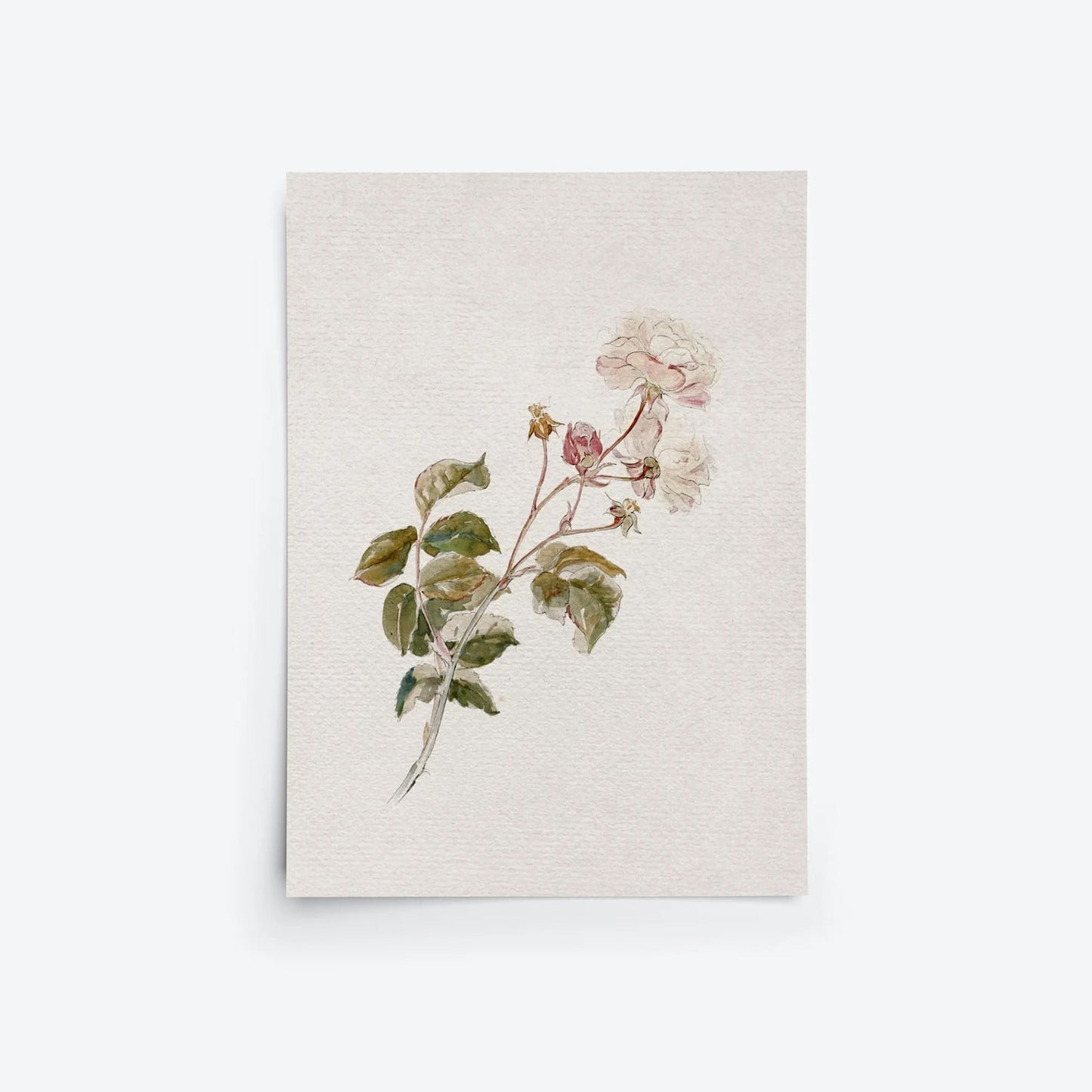 Peter Rabbit Set of 3 Nursery Wall Art