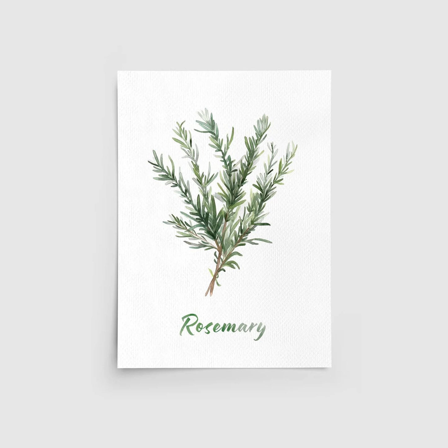 Herbs Set of 4 Watercolor Kitchen Art Prints