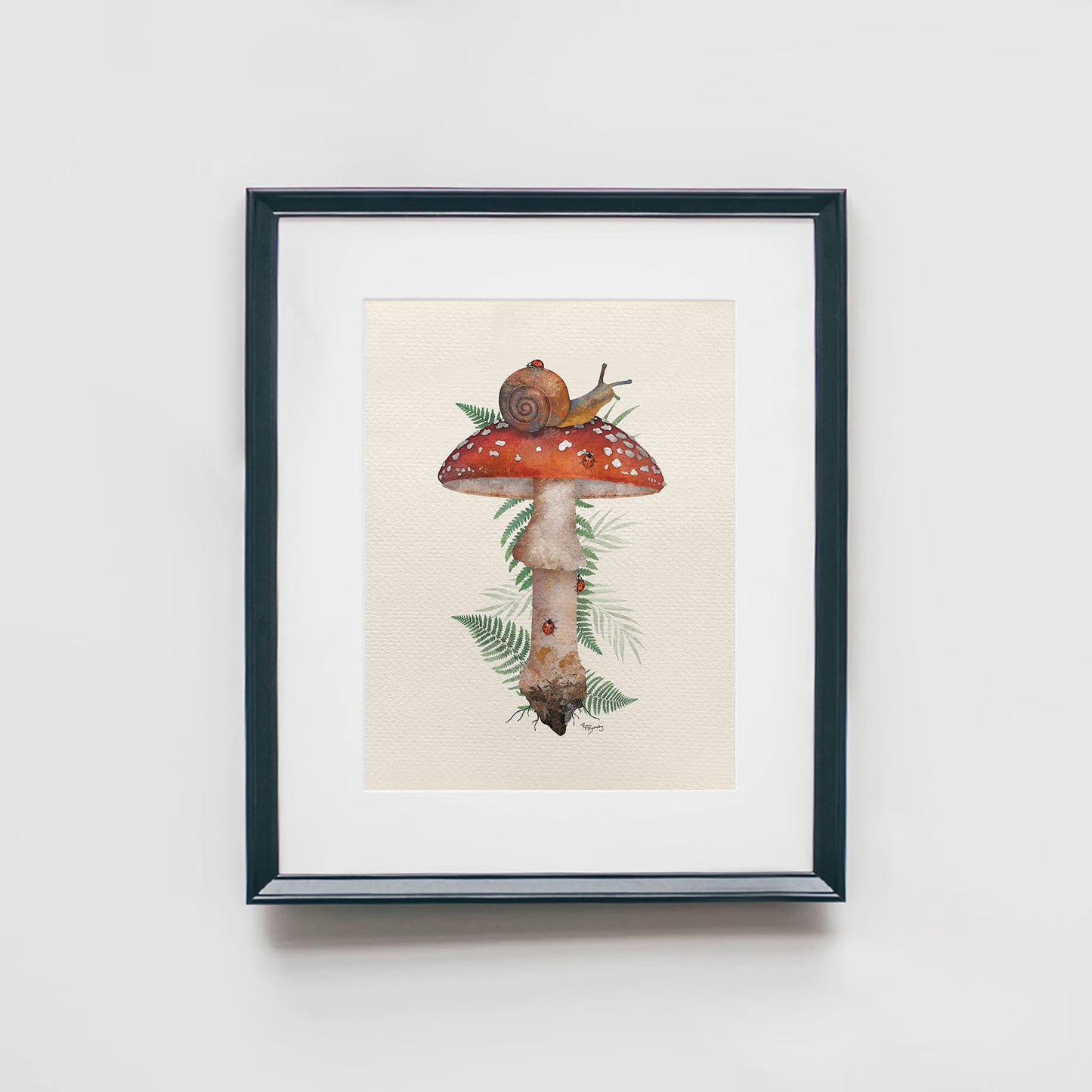 4 Set Mushroom Illustrated Art Prints