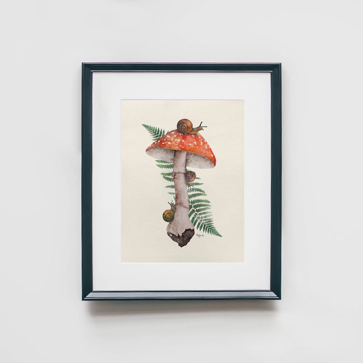 4 Set Mushroom Illustrated Art Prints