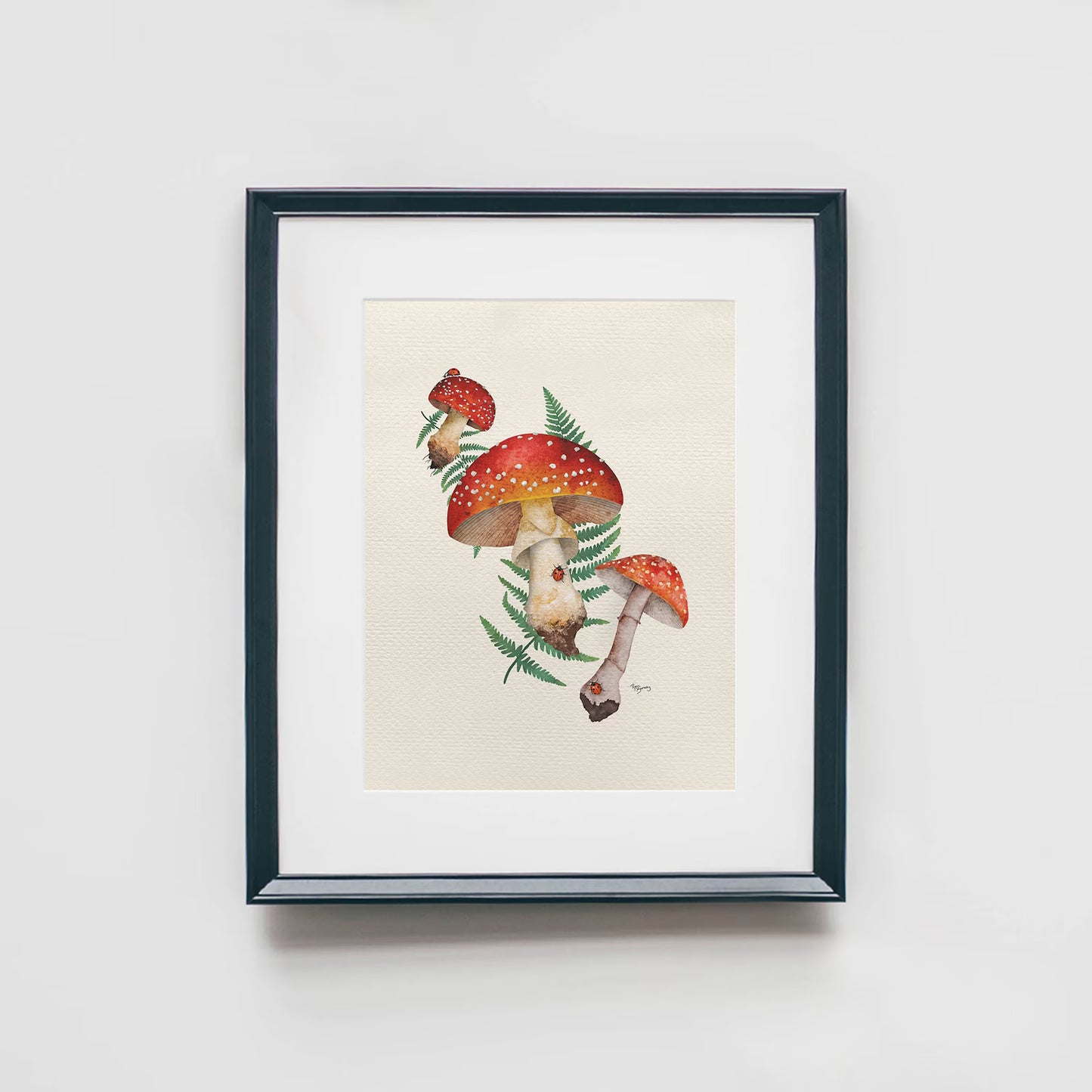 4 Set Mushroom Illustrated Art Prints