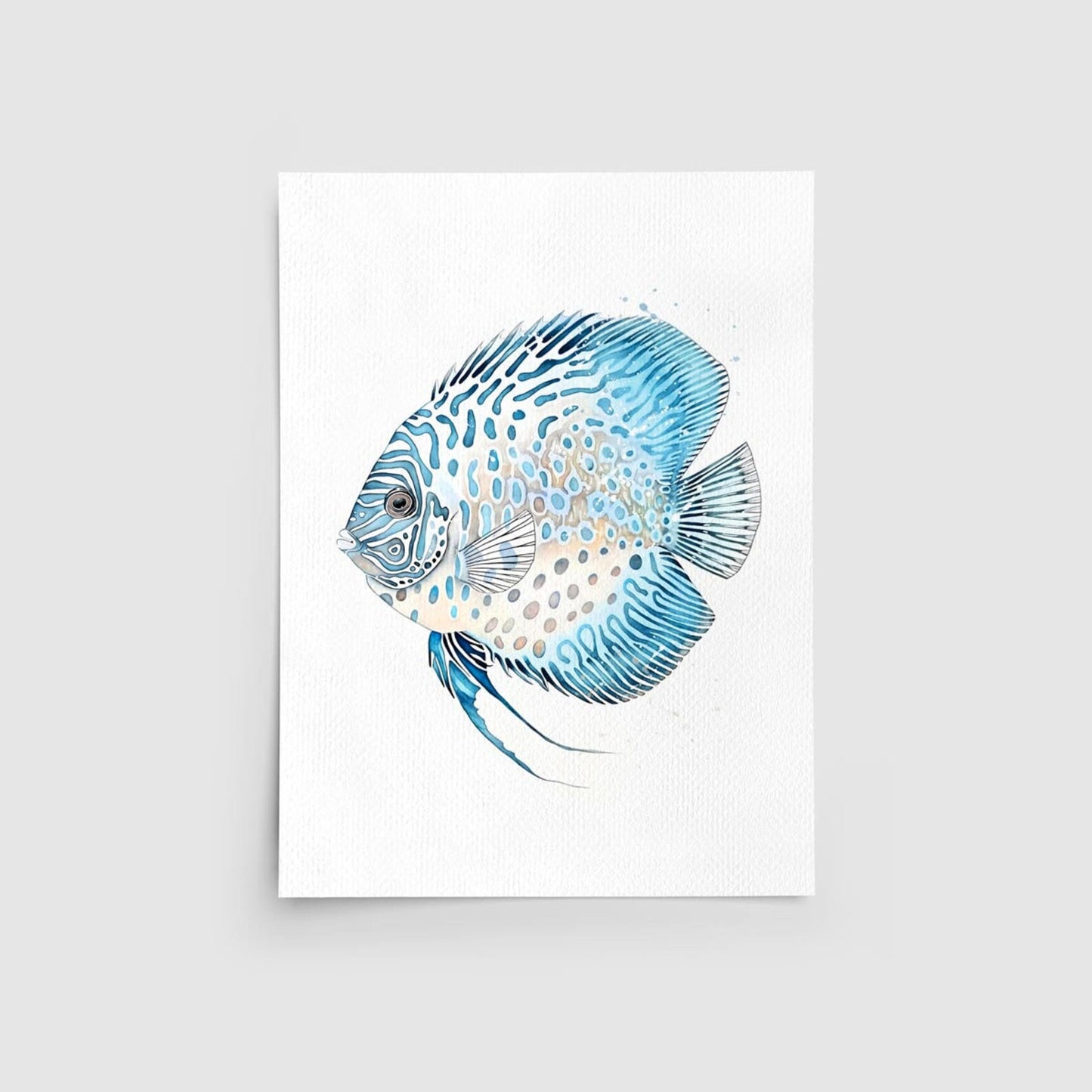 Discus Fish Set of 2 Watercolor Art Prints