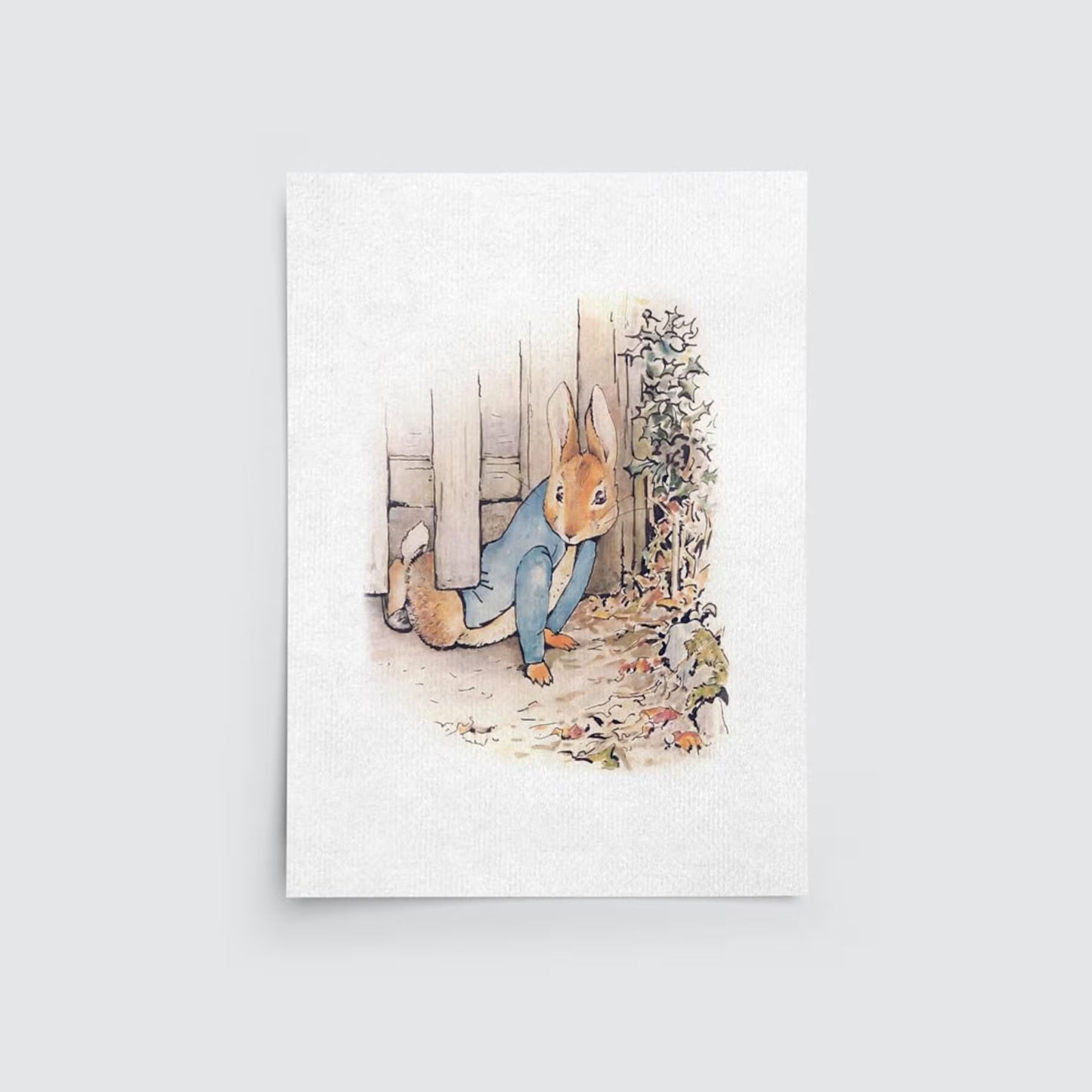 Peter Rabbit Stories Set of 6 Art Prints, Beatrix Potter