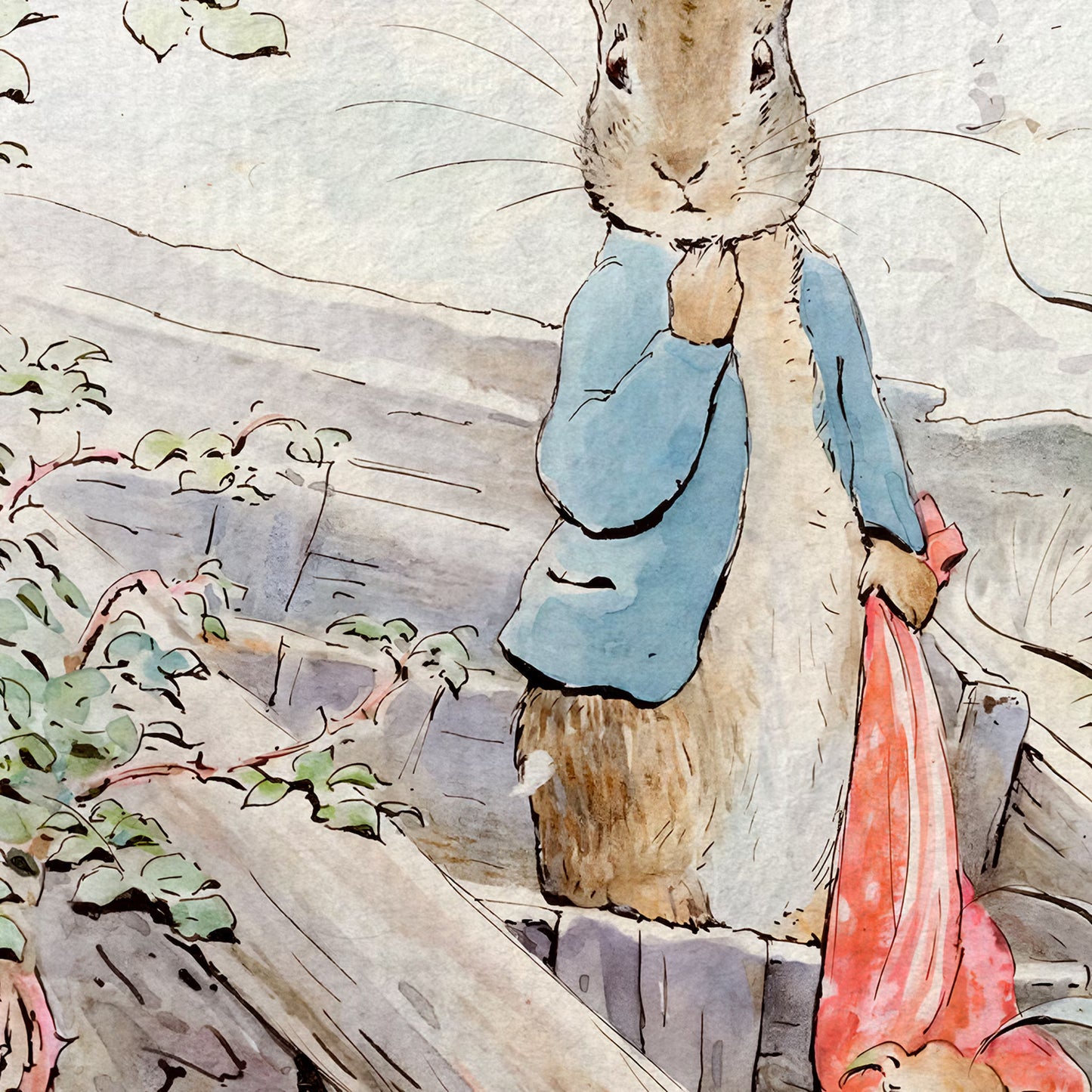 Peter Rabbit Stories Set of 6 Art Prints, Beatrix Potter