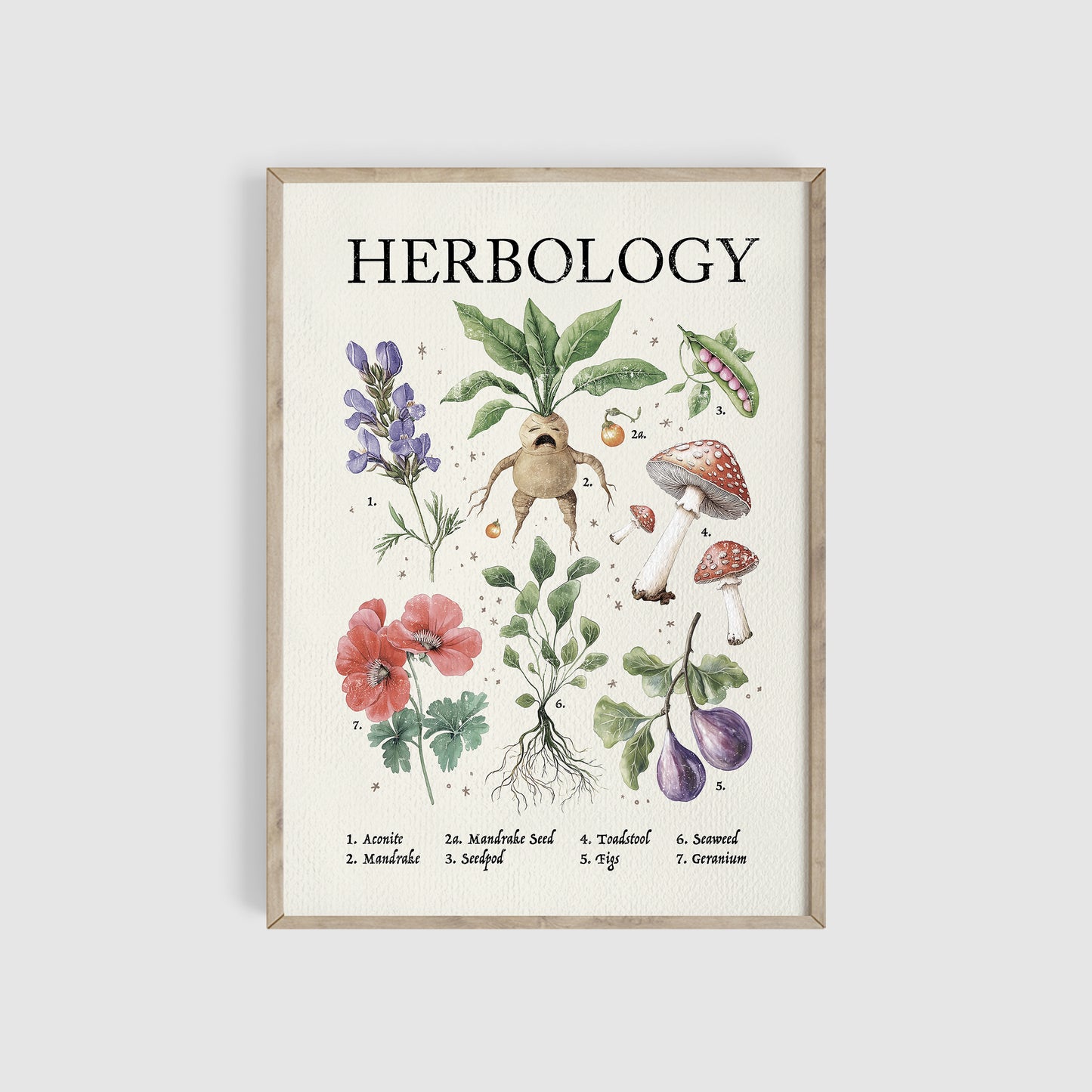 Herbology Art Print, Wizard Art