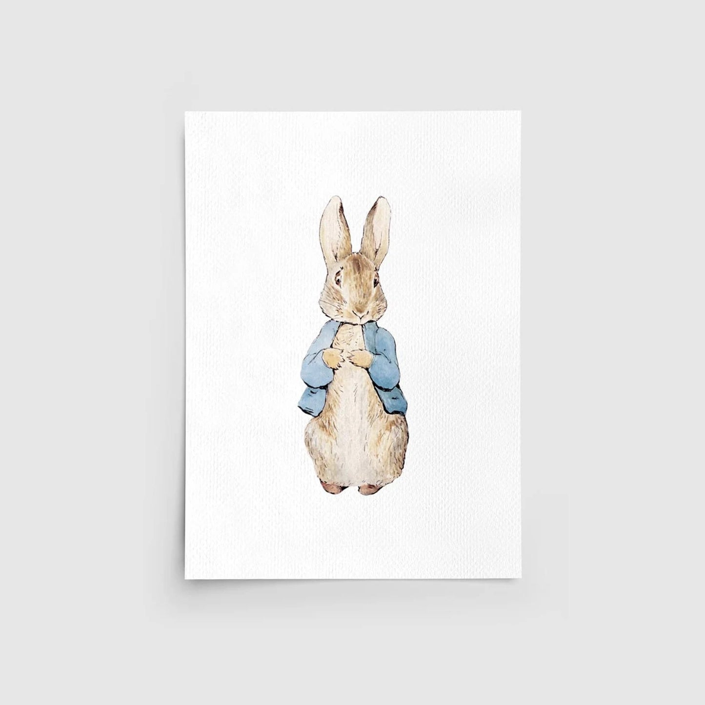 Peter Rabbit Characters Set of 3 Nursery Wall Art