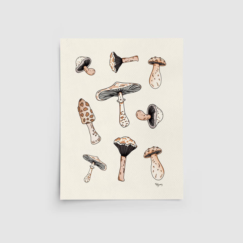 4 Set Mushroom Minimal Illustrated Art Prints