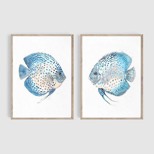 Discus Fish Set of 2 Watercolor Art Prints